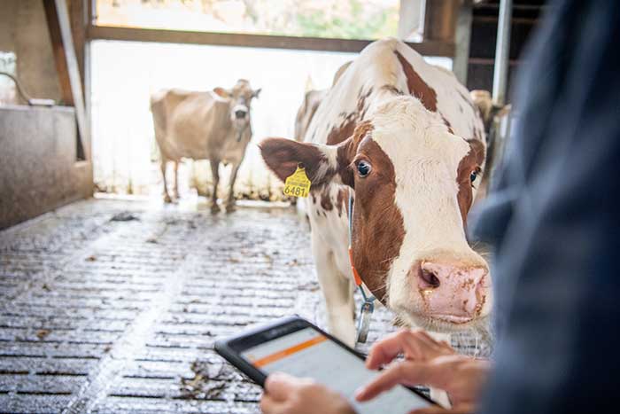 Mise à jour de la liste des animaux